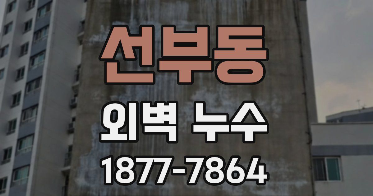 선부동 외벽 누수