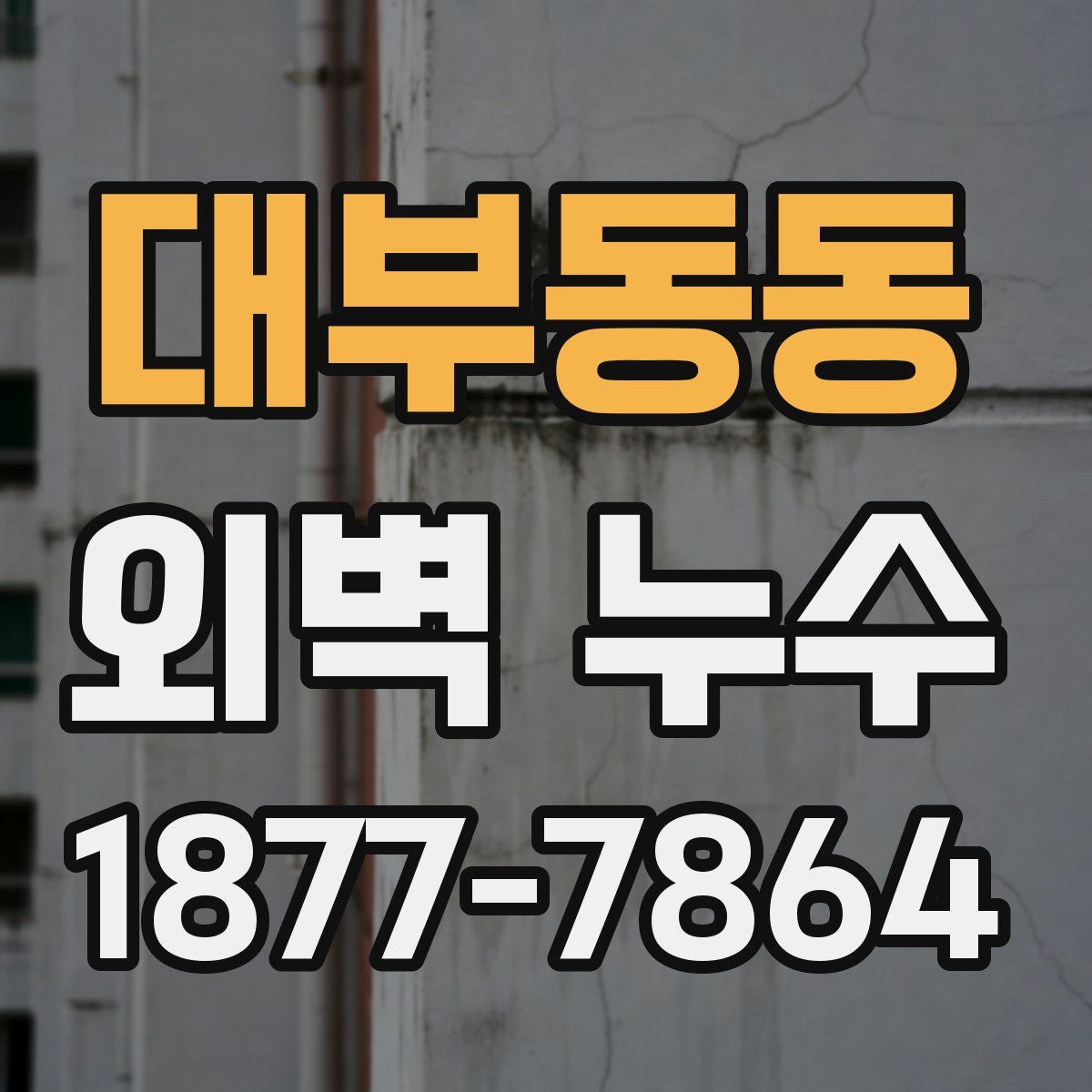 대부동동 외벽 누수