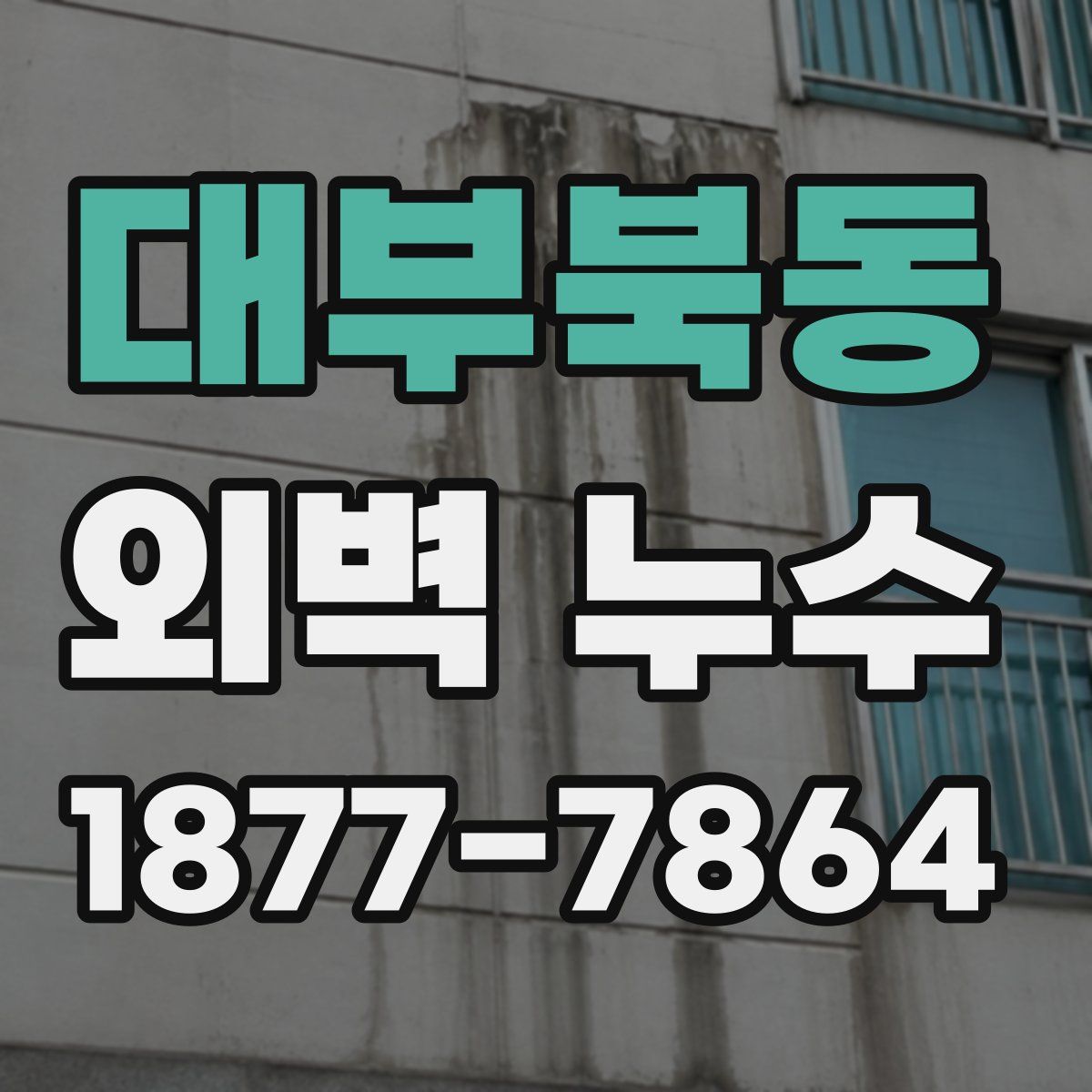 대부북동 외벽 누수