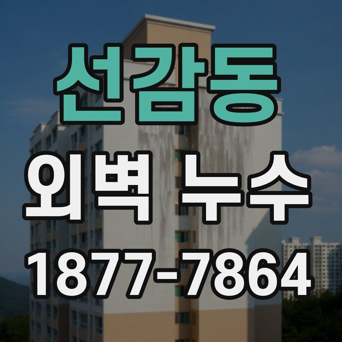 선감동 외벽 누수