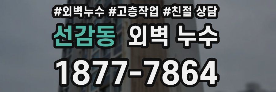 선감동 외벽 누수
