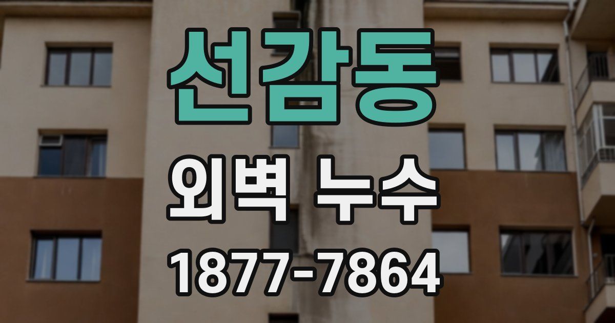선감동 외벽 누수