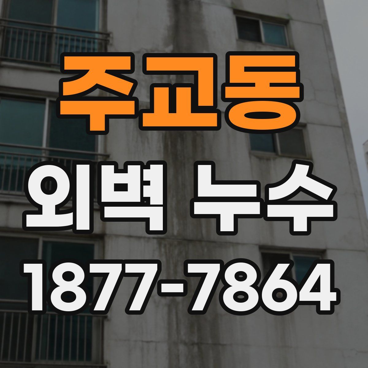 주교동 외벽 누수