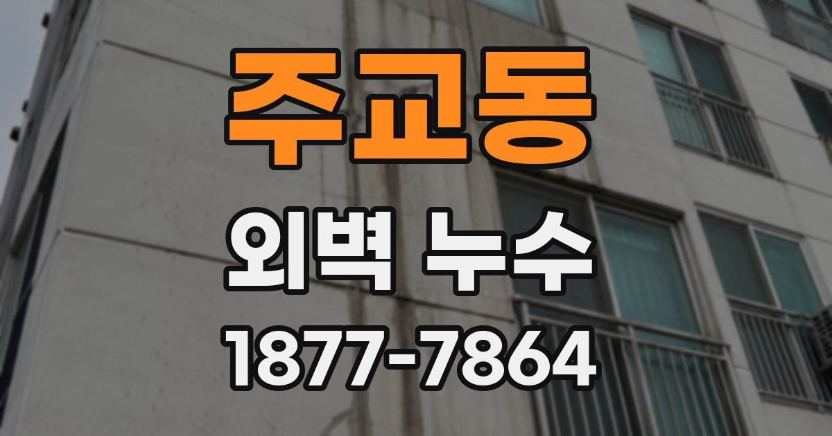 주교동 외벽 누수
