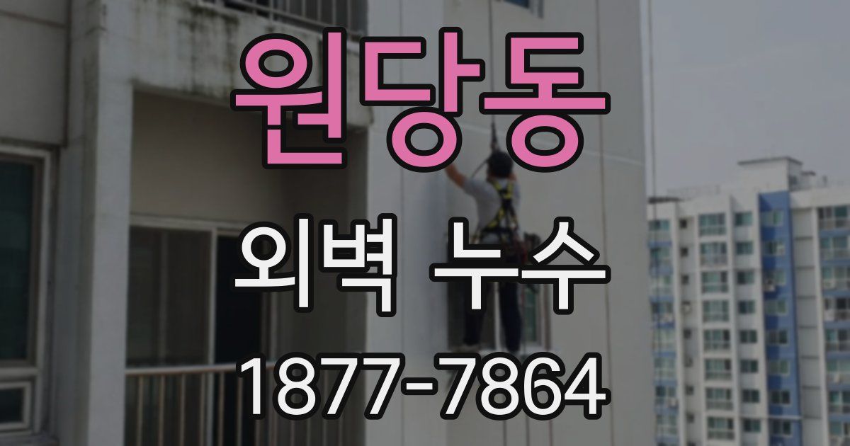 원당동 외벽 누수