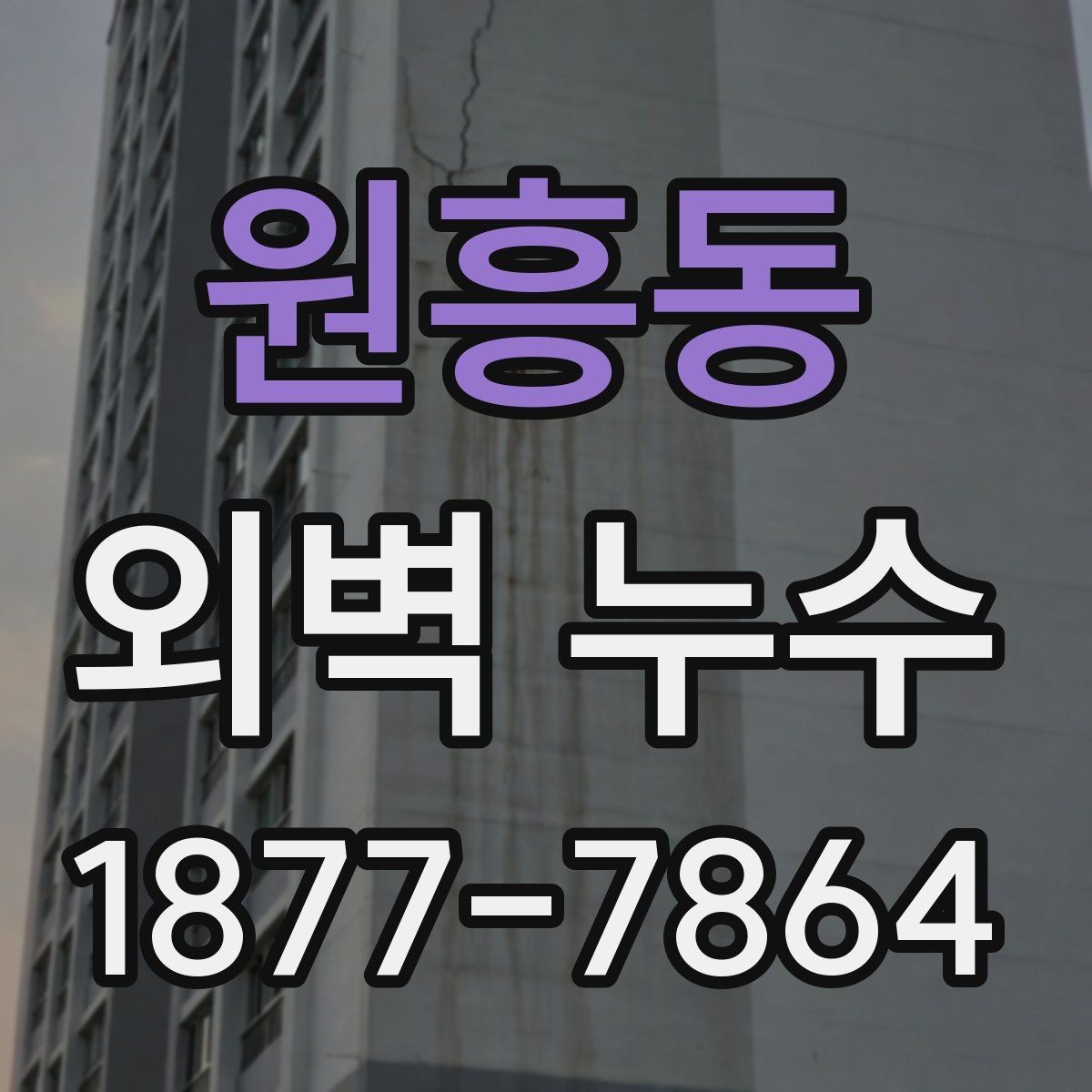 원흥동 외벽 누수 공사 전후 비교해볼 점