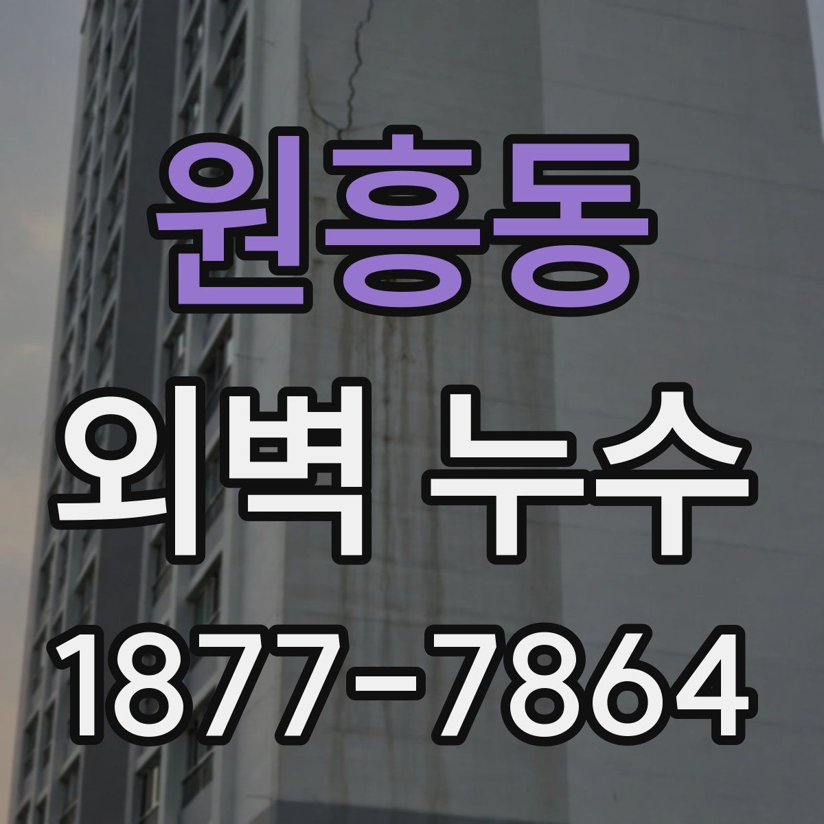 원흥동 외벽 누수
