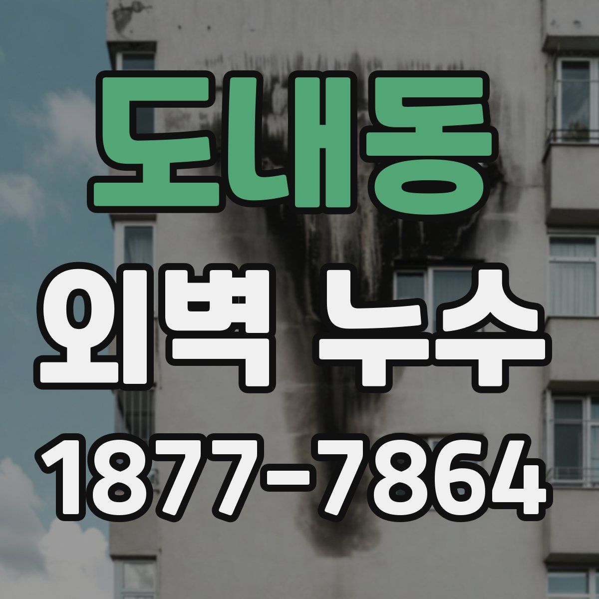 도내동 외벽 누수