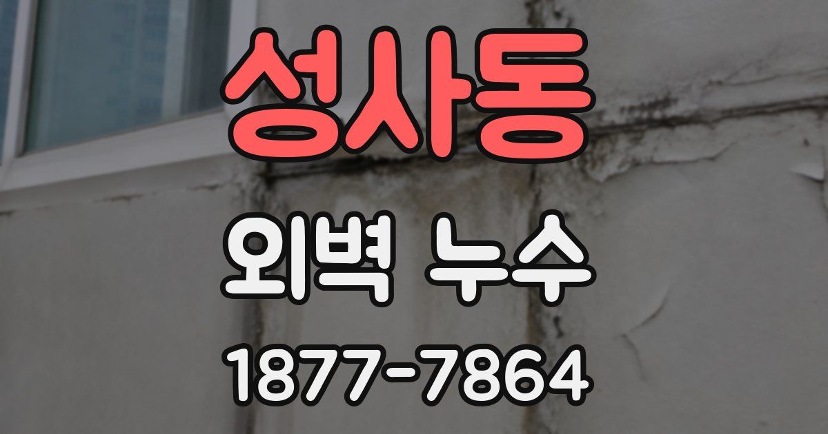 성사동 외벽 누수