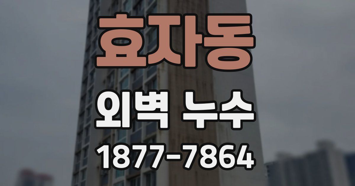 효자동 외벽 누수