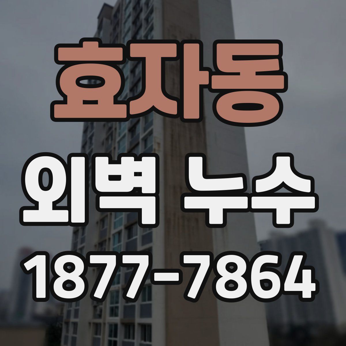 효자동 외벽 누수
