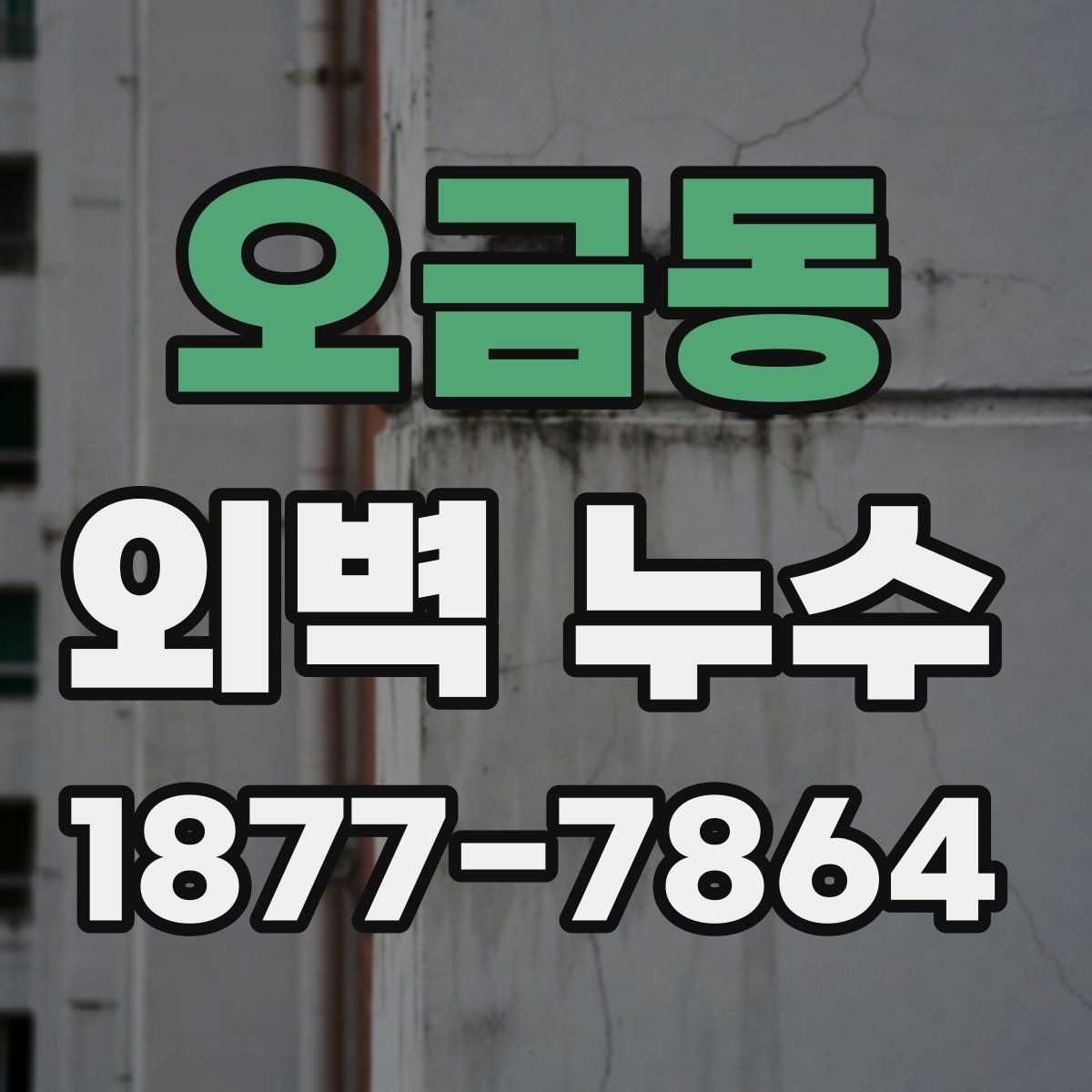 오금동 외벽 누수 증상이 반복될 때 살펴볼 원인