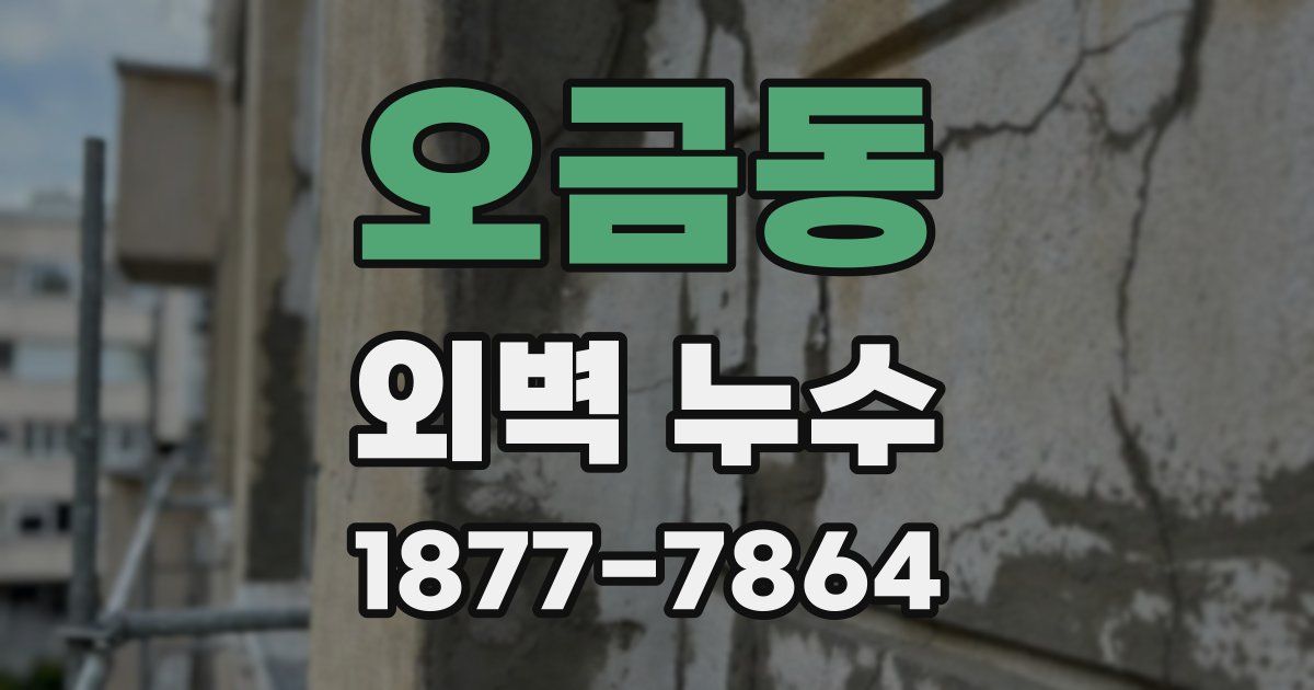오금동 외벽 누수