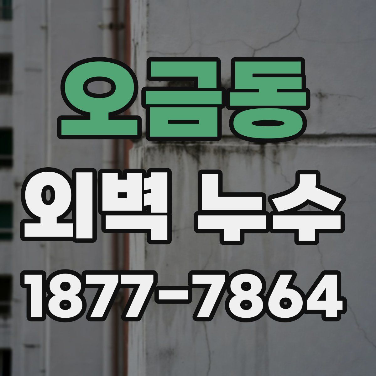 오금동 외벽 누수