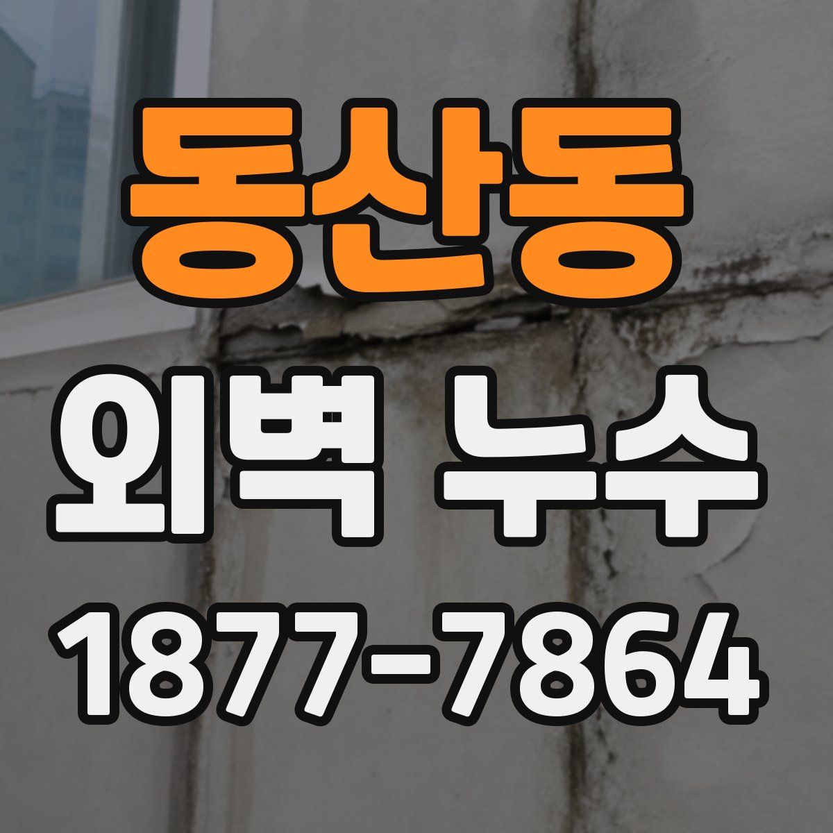 동산동 외벽 누수