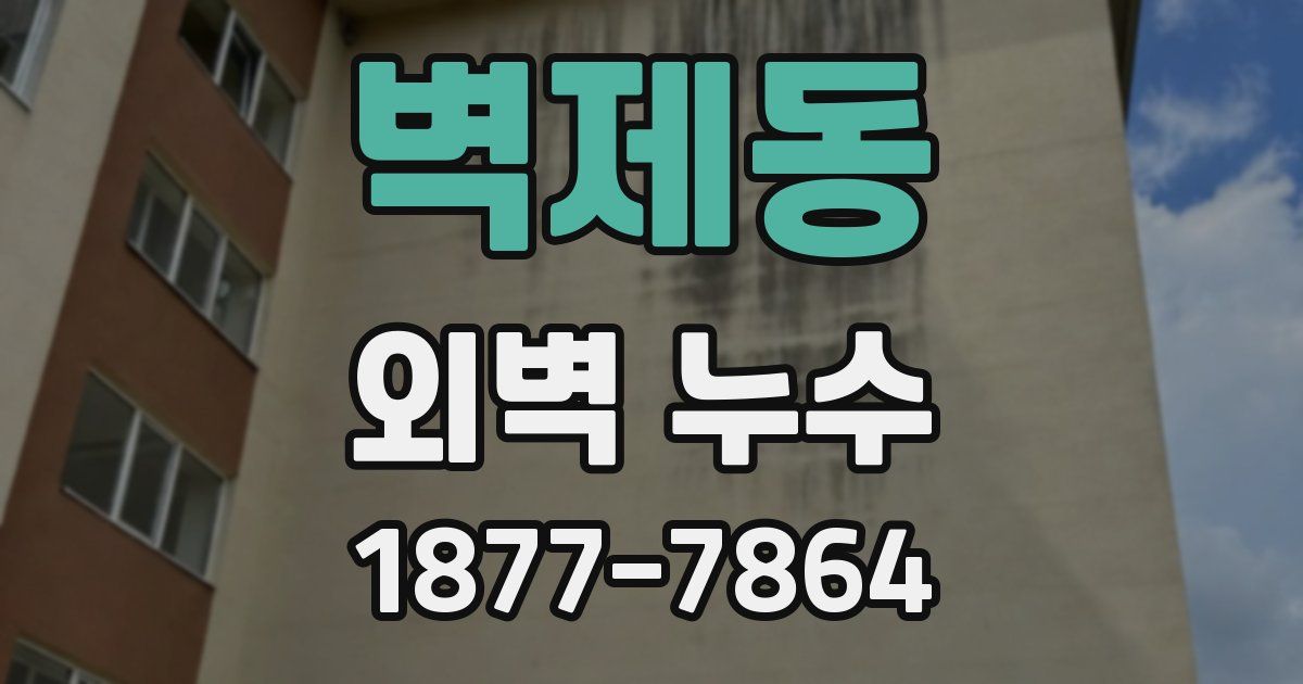 벽제동 외벽 누수