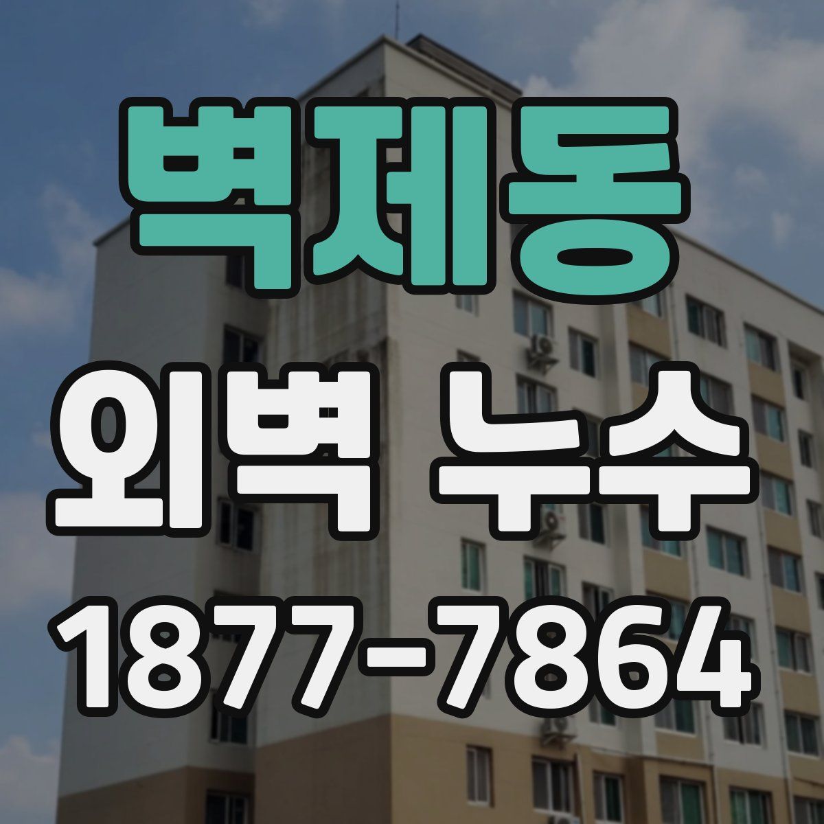 벽제동 외벽 누수
