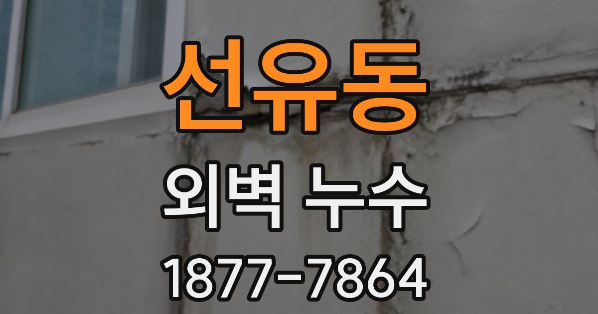 선유동 외벽 누수