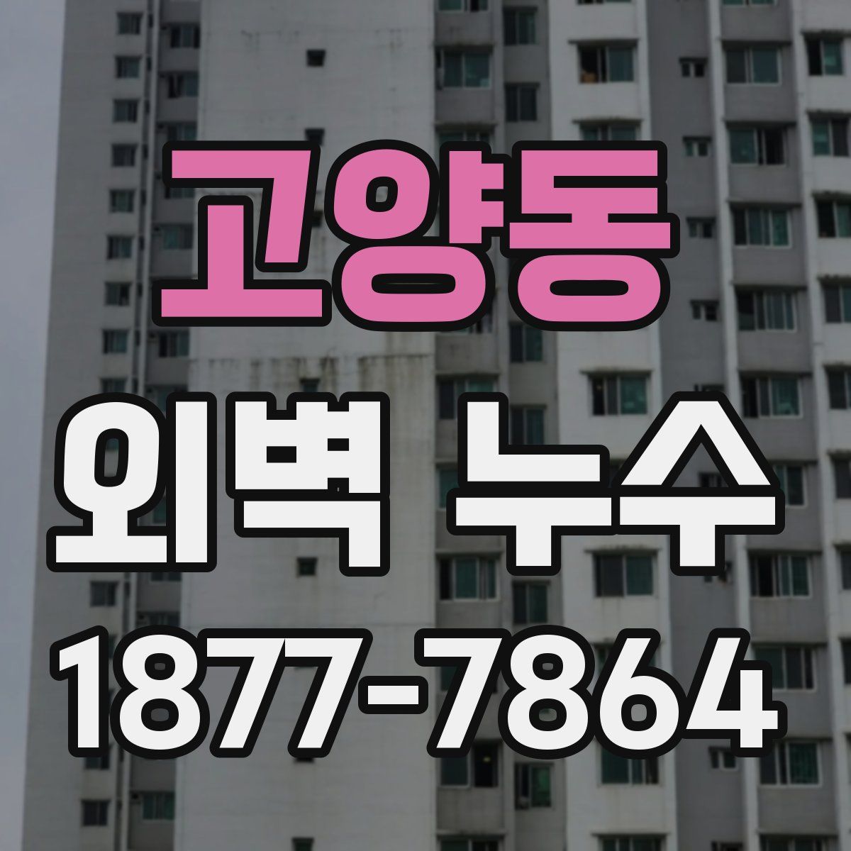 고양동 외벽 누수