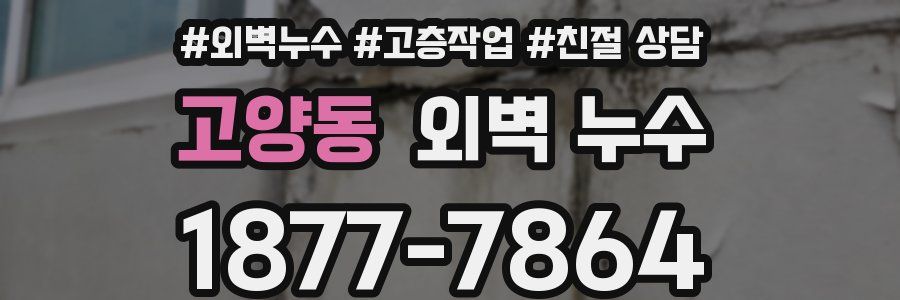 고양동 외벽 누수