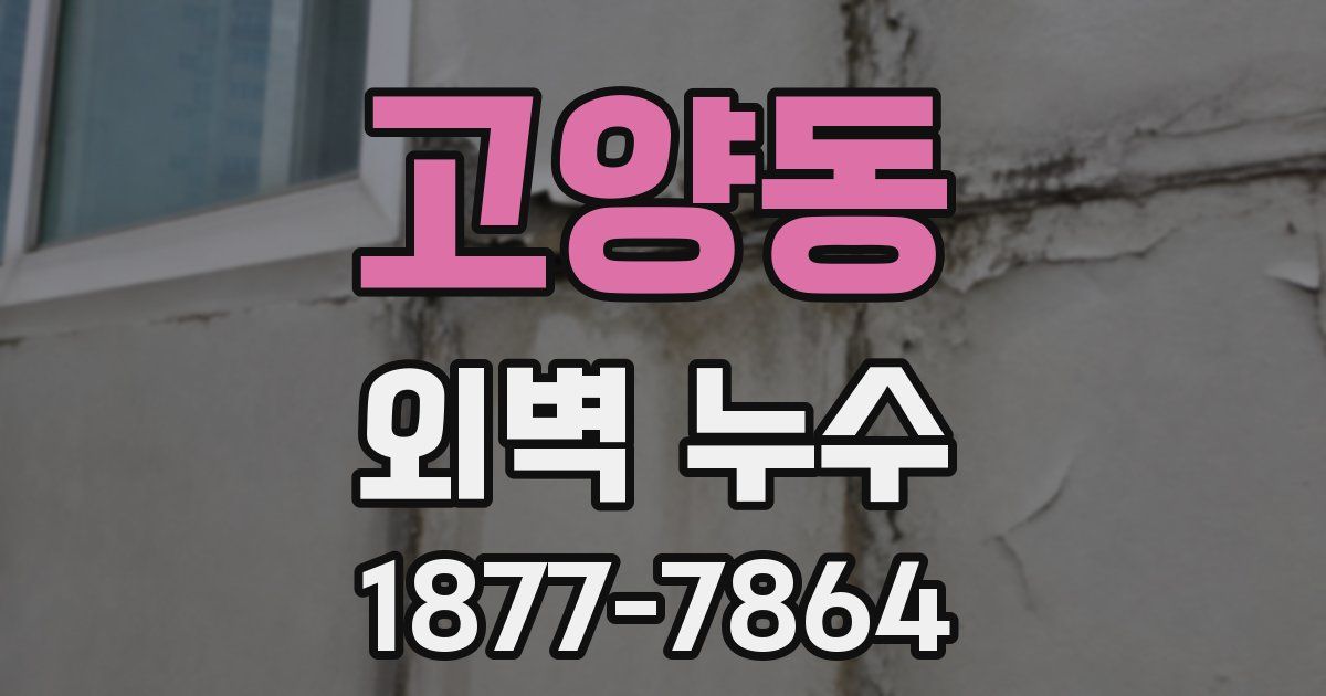고양동 외벽 누수