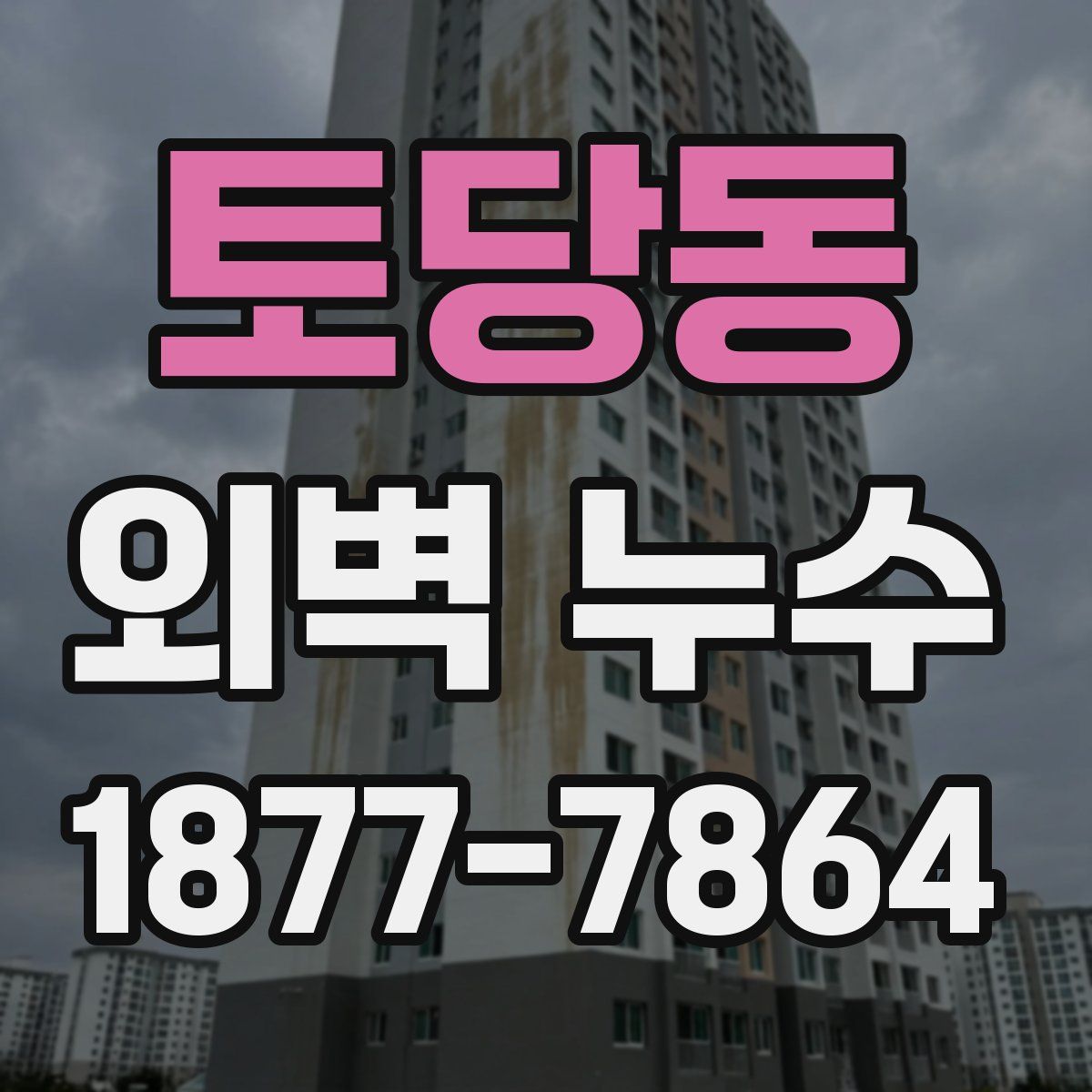 토당동 외벽 누수