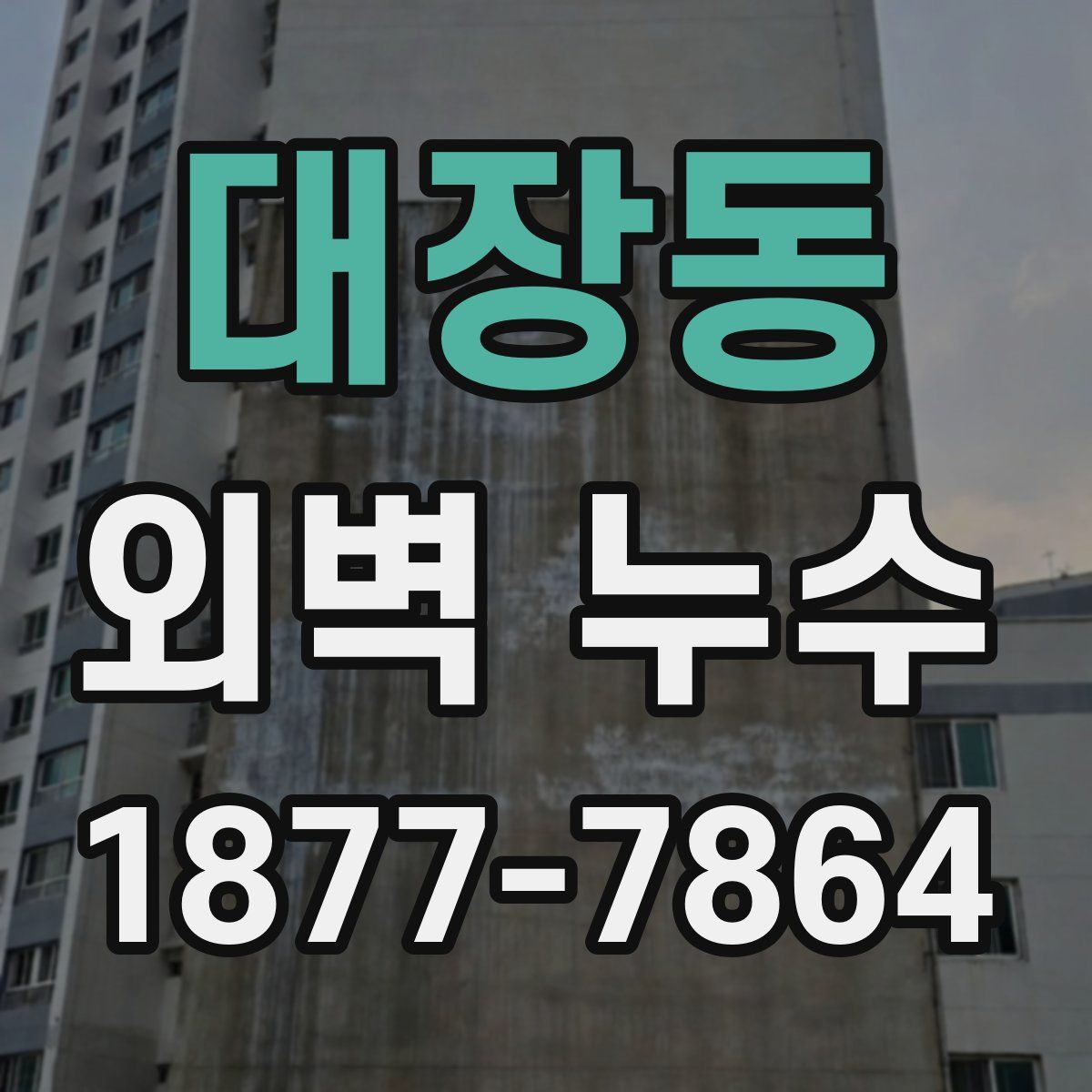 대장동 외벽 누수