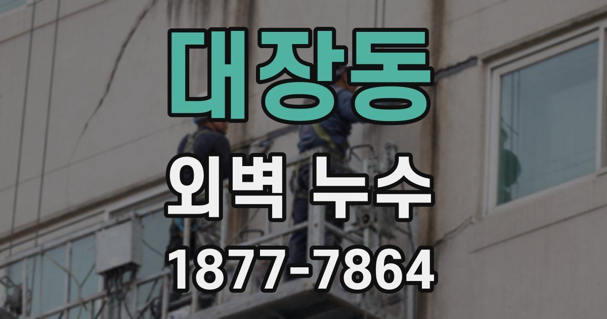 대장동 외벽 누수