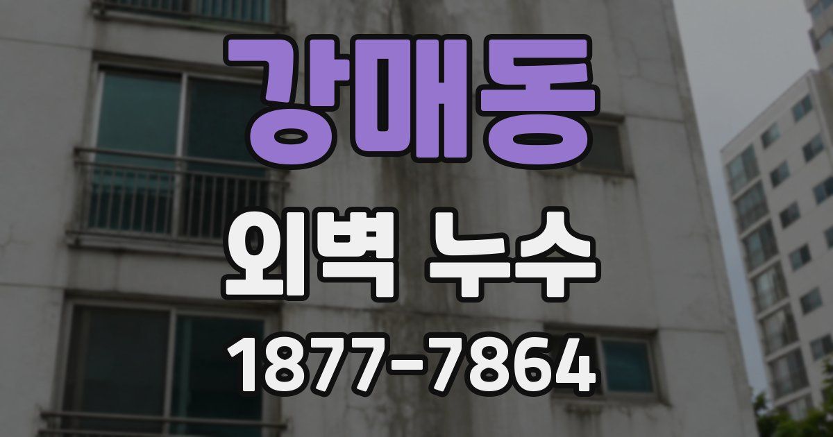 강매동 외벽 누수