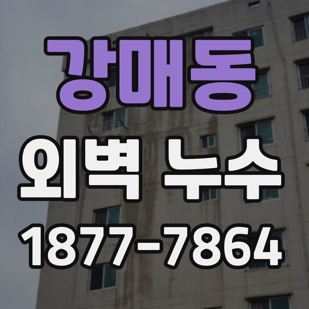 강매동 외벽 누수