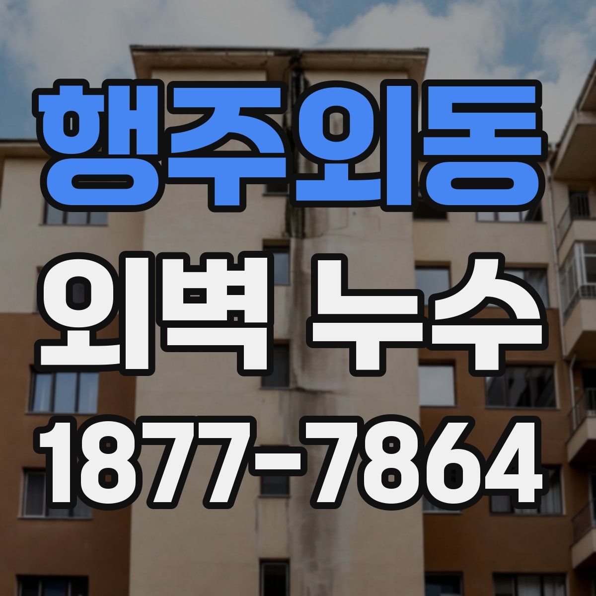 행주외동 외벽 누수