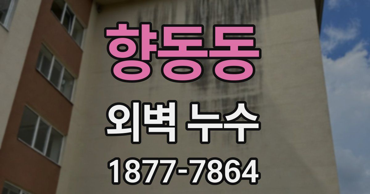 향동동 외벽 누수
