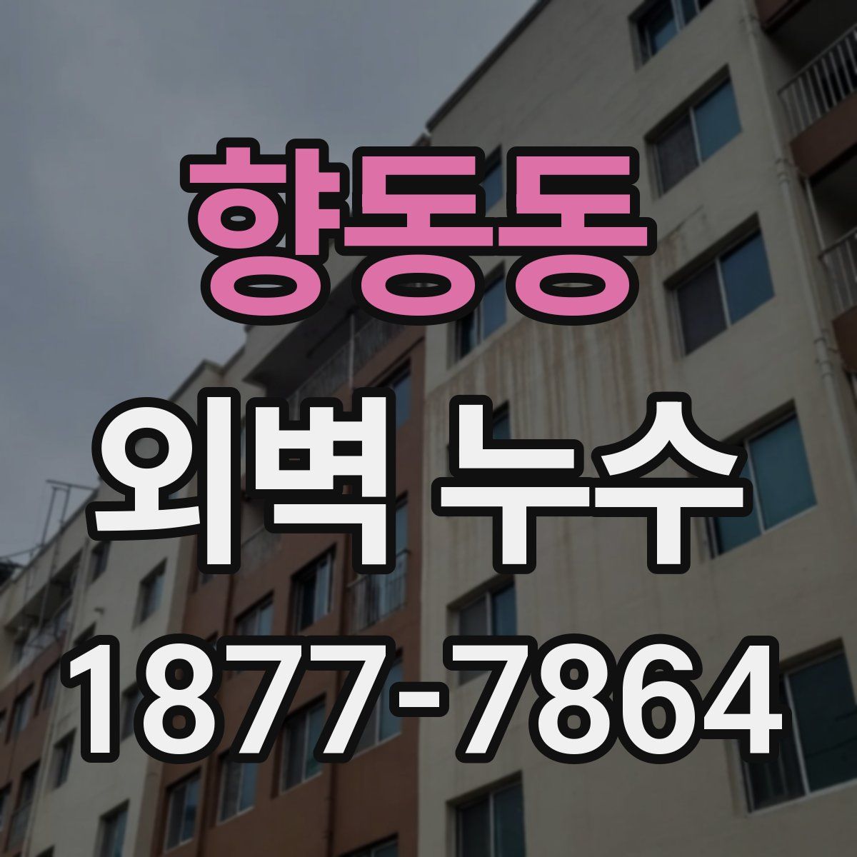 향동동 외벽 누수