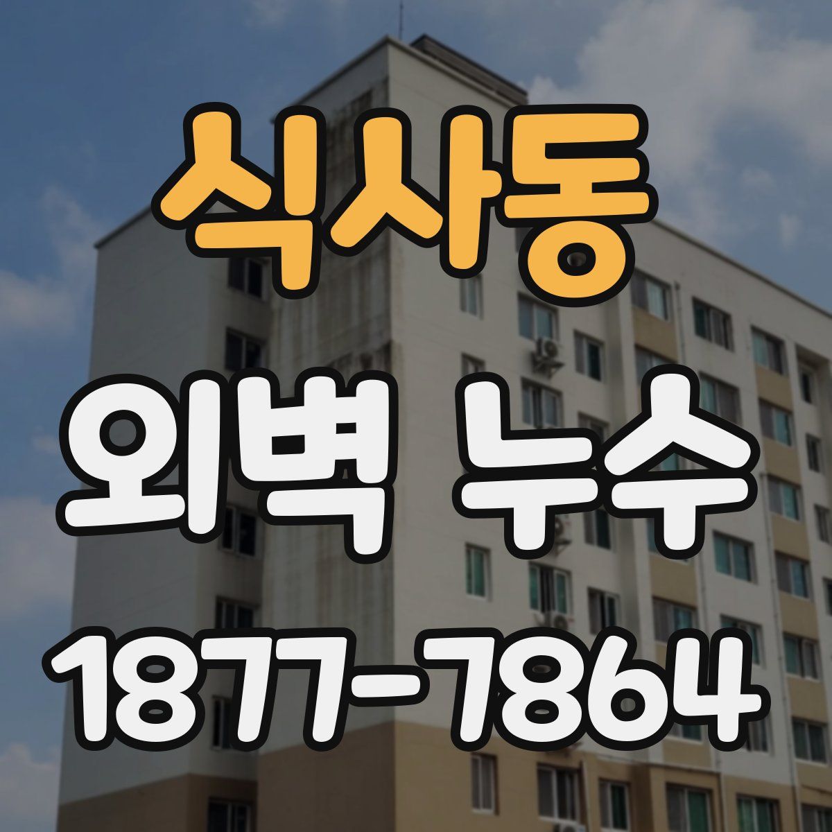 식사동 외벽 누수