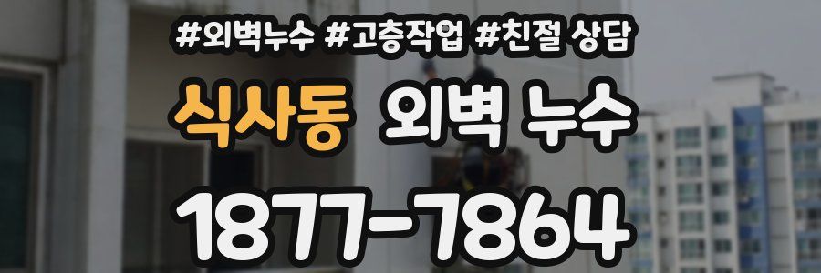 식사동 외벽 누수