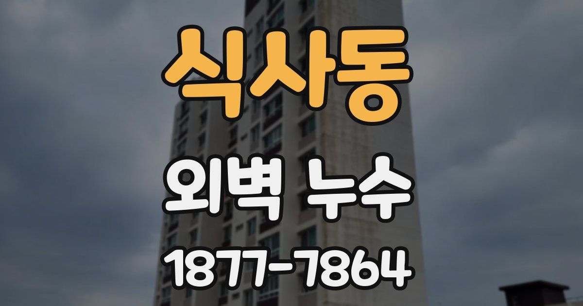식사동 외벽 누수