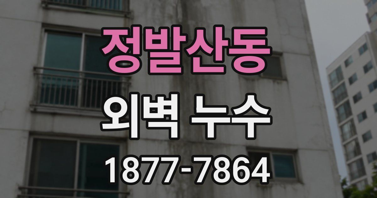 정발산동 외벽 누수