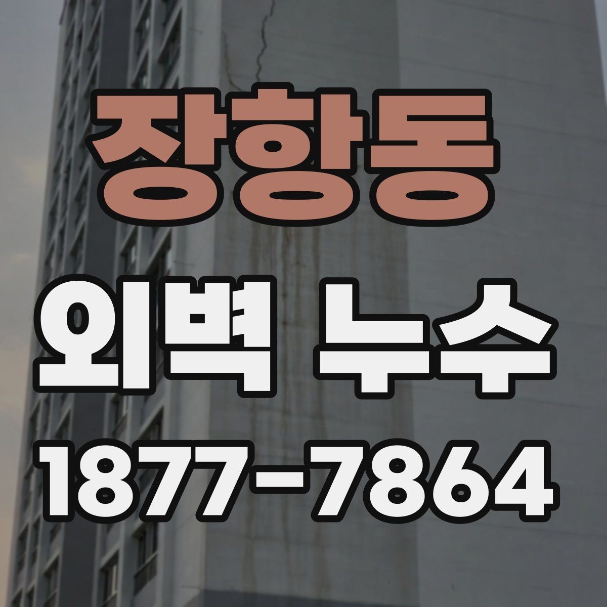 장항동 외벽 누수 수리 전 비교해야 할 공정들