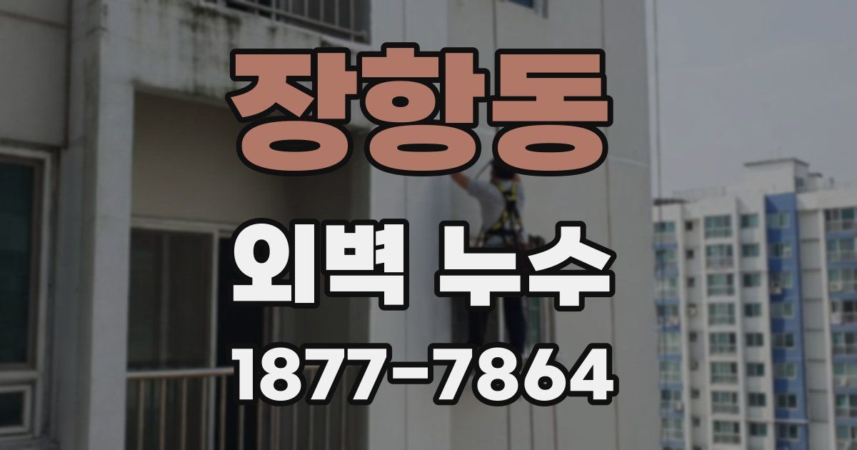장항동 외벽 누수