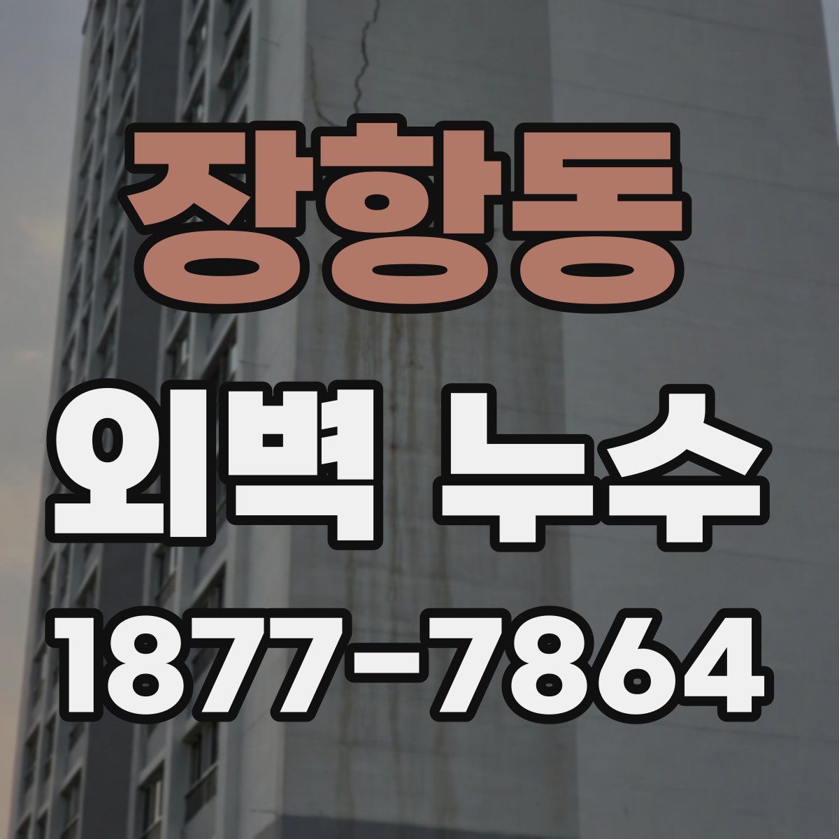장항동 외벽 누수