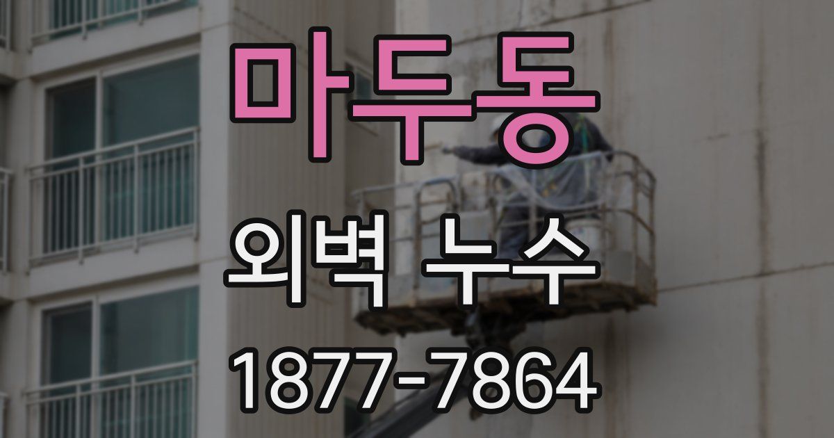마두동 외벽 누수