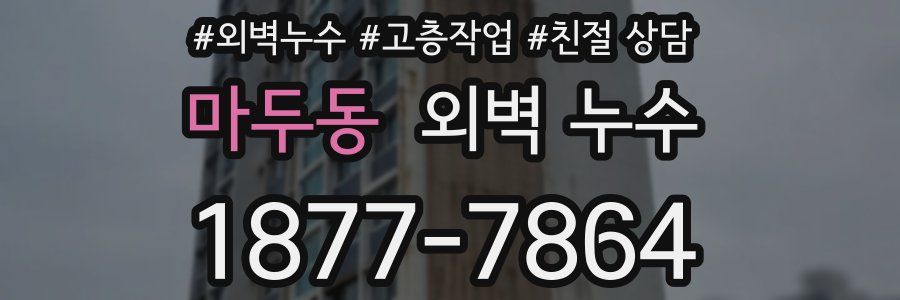 마두동 외벽 누수