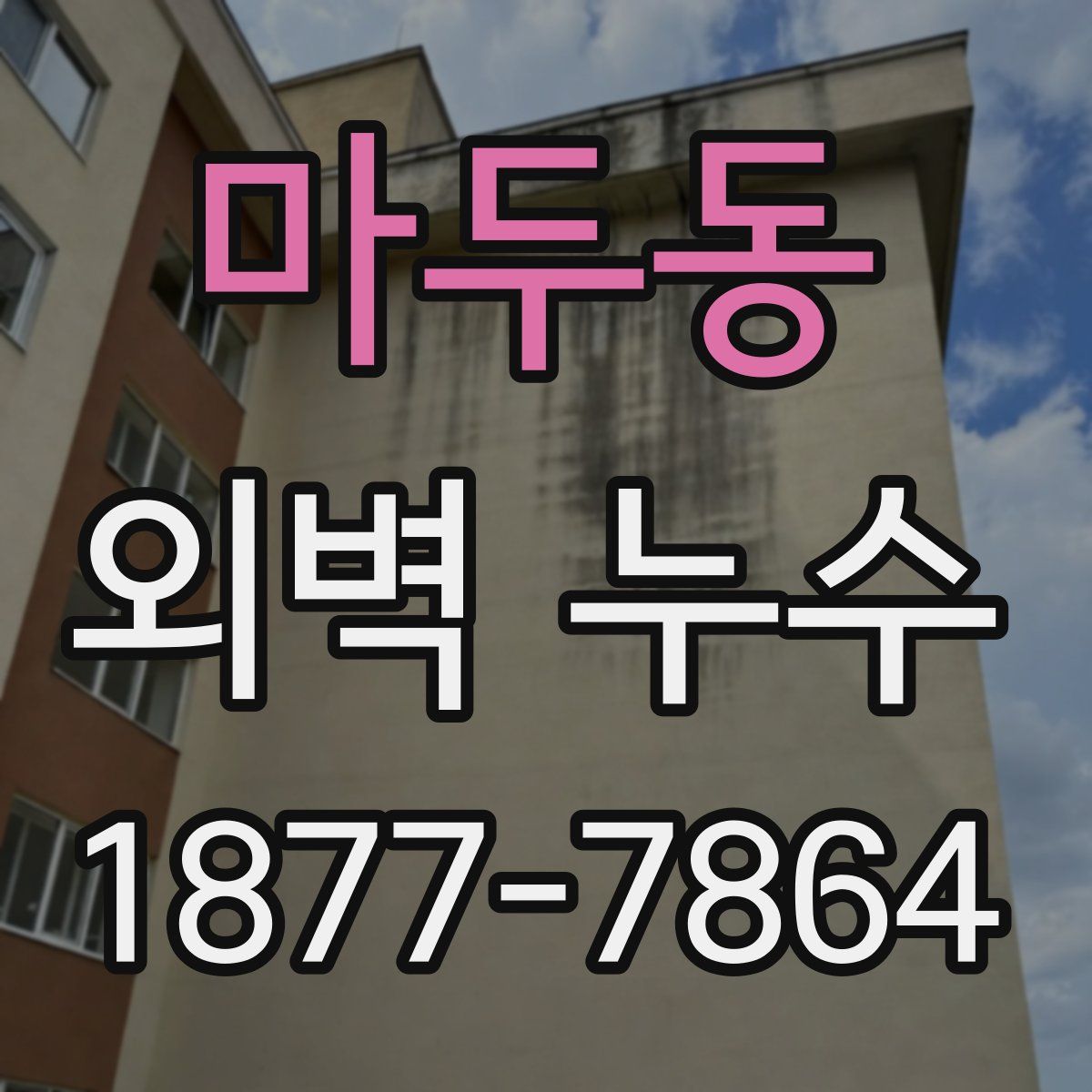 마두동 외벽 누수