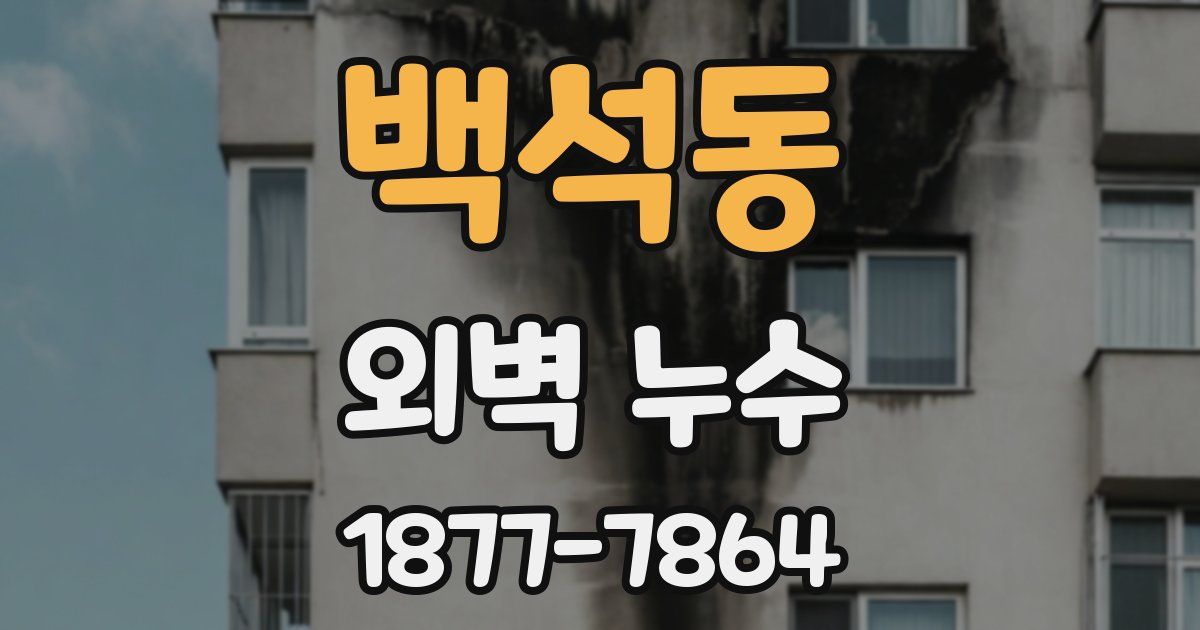 백석동 외벽 누수