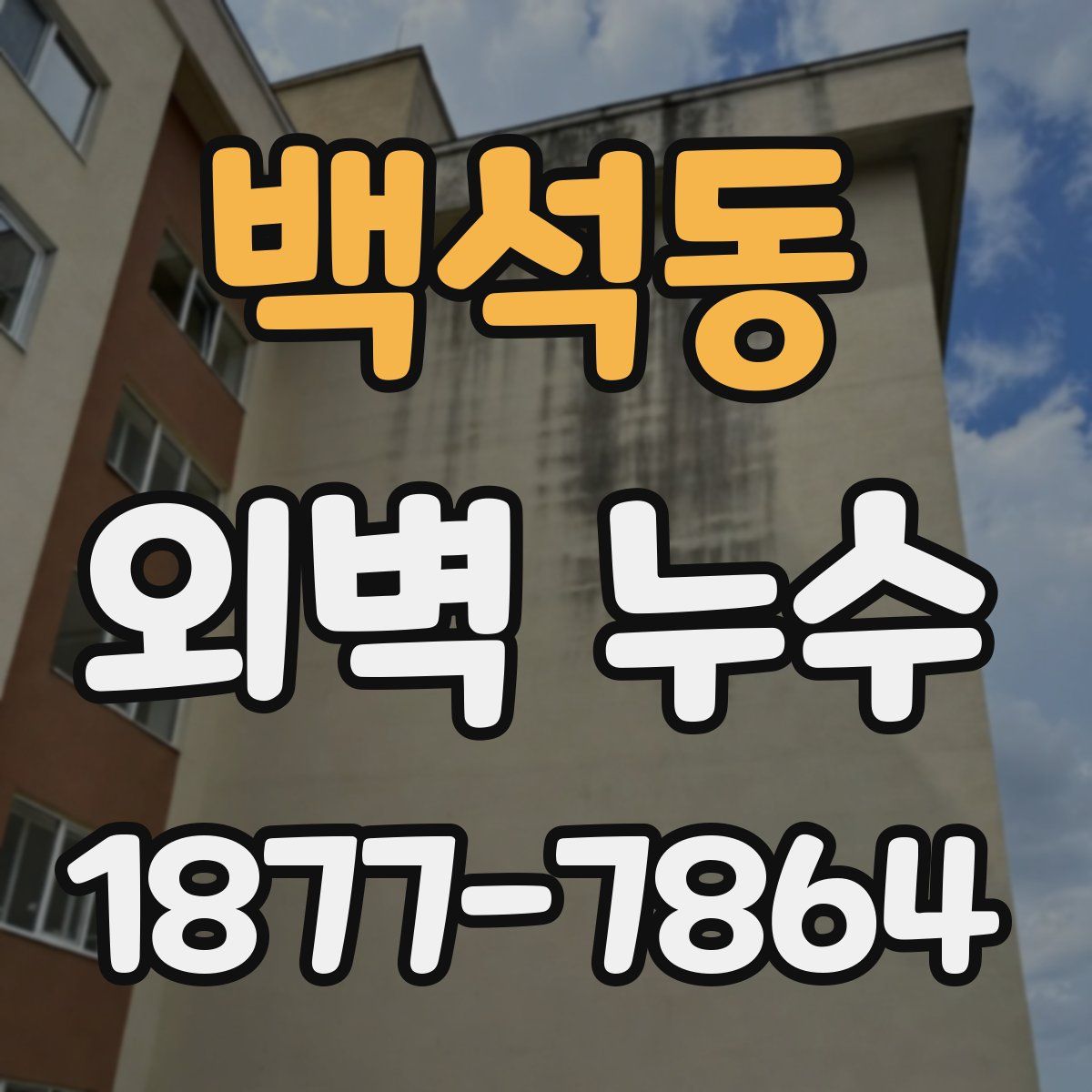 백석동 외벽 누수