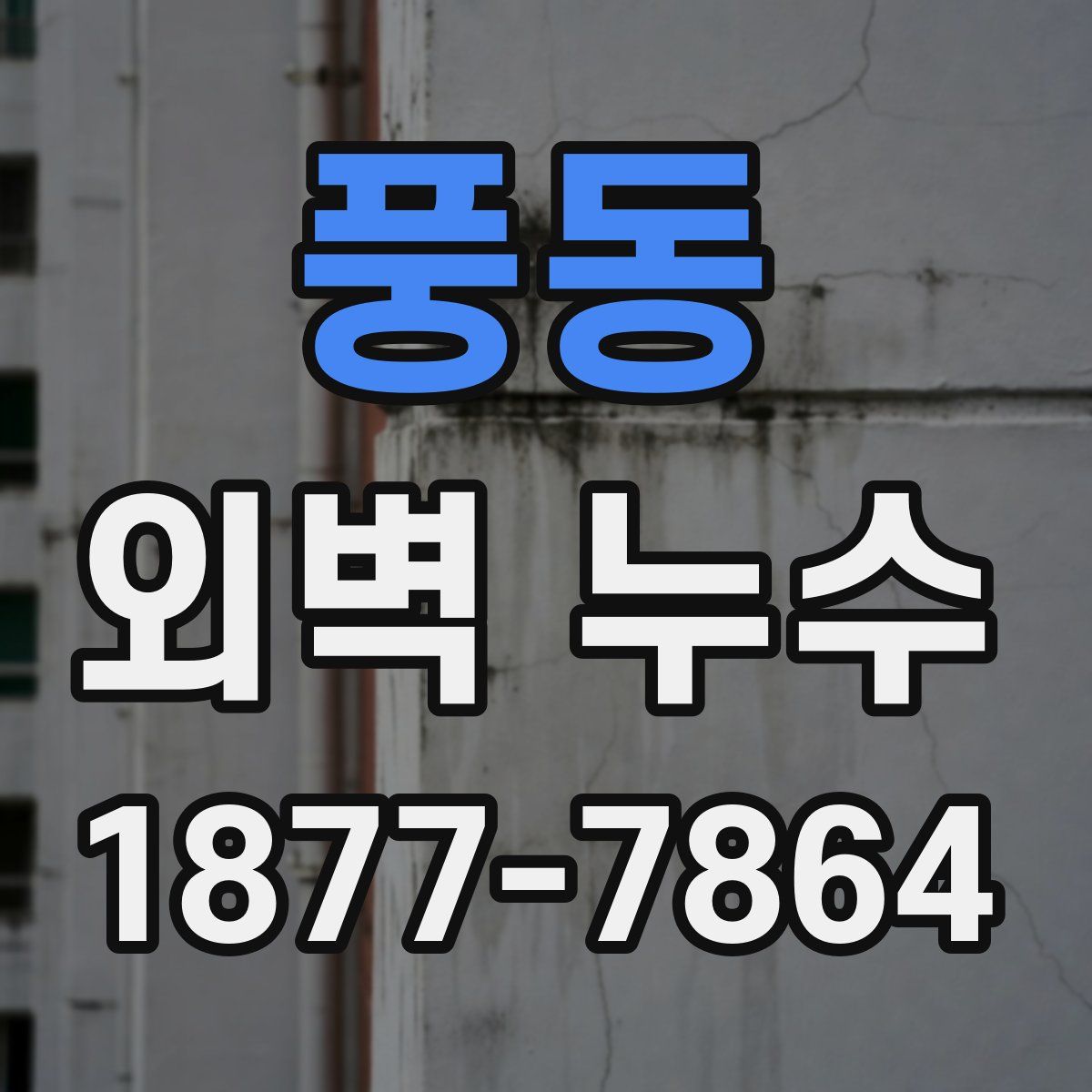 풍동 외벽 누수