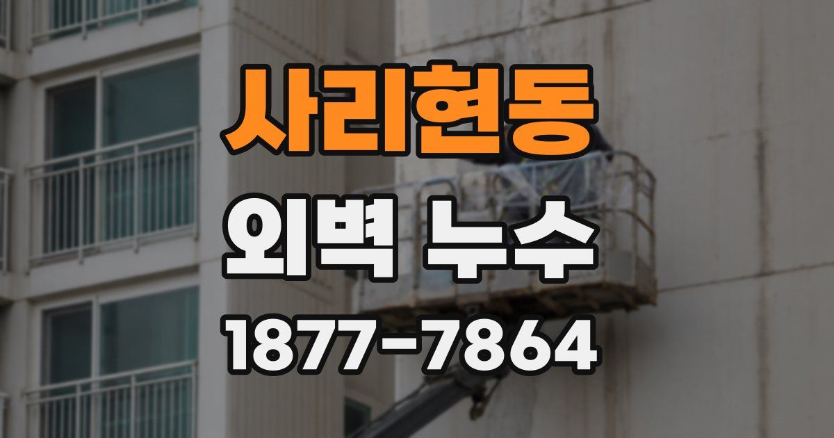 사리현동 외벽 누수