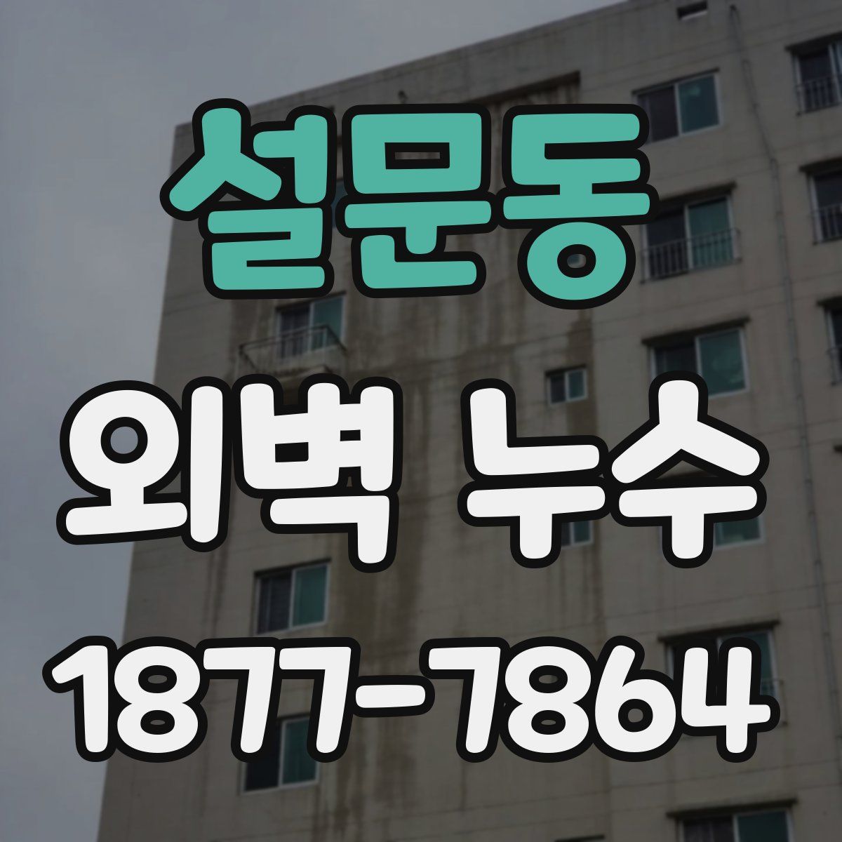 설문동 외벽 누수