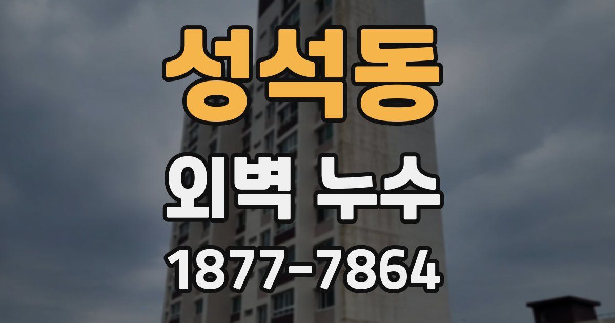 성석동 외벽 누수