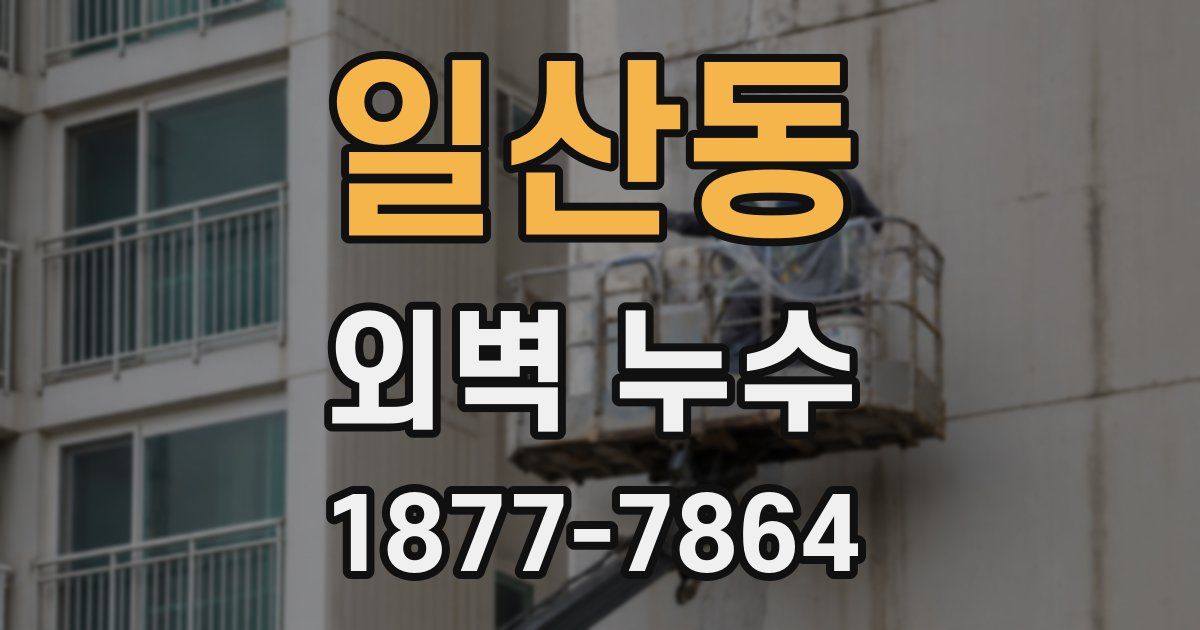 일산동 외벽 누수